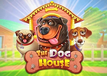 The Dog House Megaways – обзор видеослота от студии Pragmatic Play